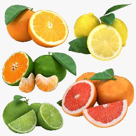 Citrus Fruit Collection 2 3D model